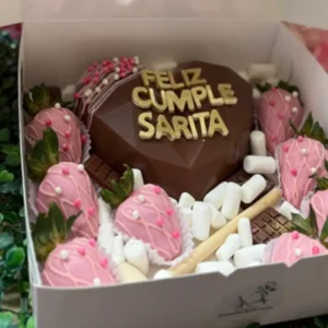 Feliz cumple Sarita 🩷🩷